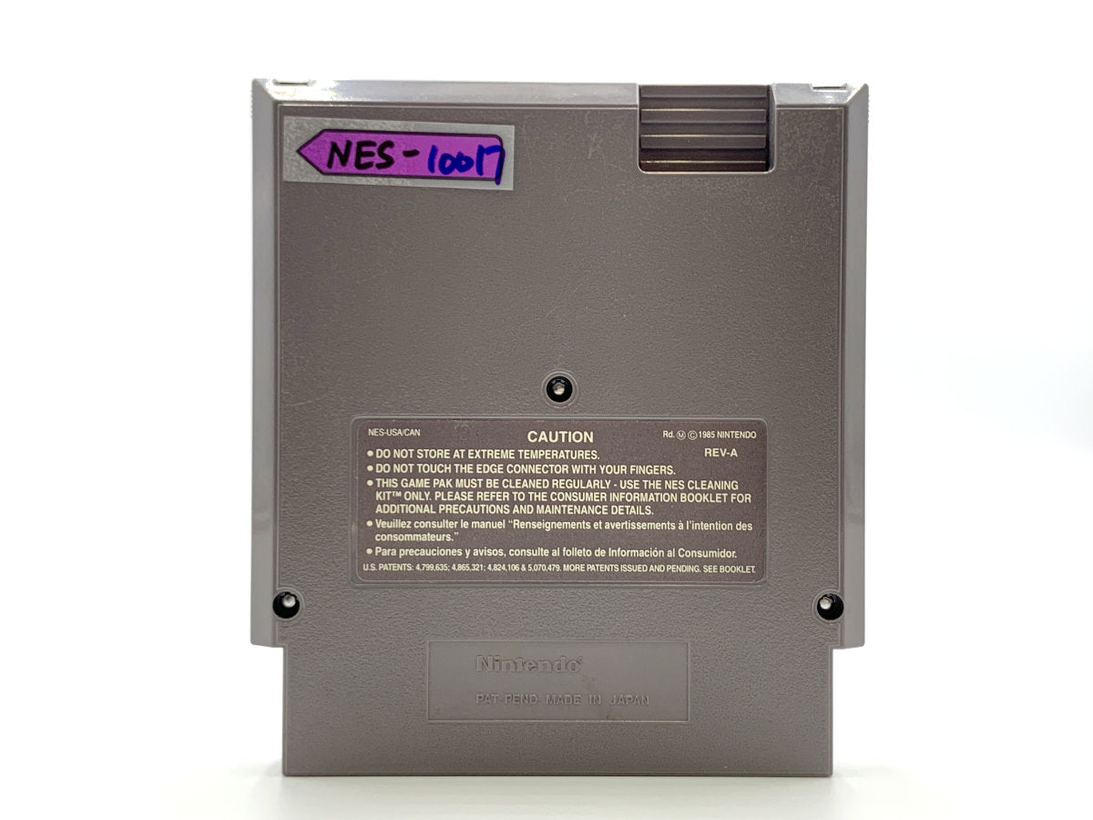 Home Alone 2: Lost in New York – (3-Screw) • Regular Nintendo (NES)