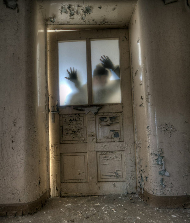 Zombies Collection 🧟‍♂️