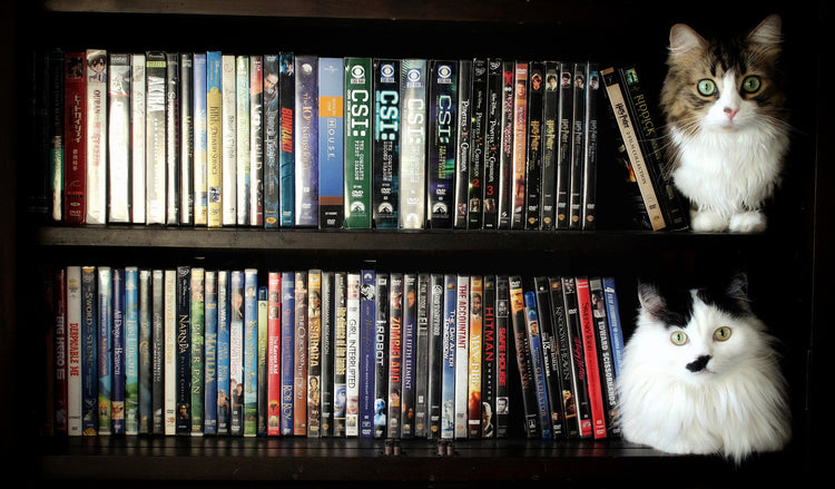DVD Movies & Shows
