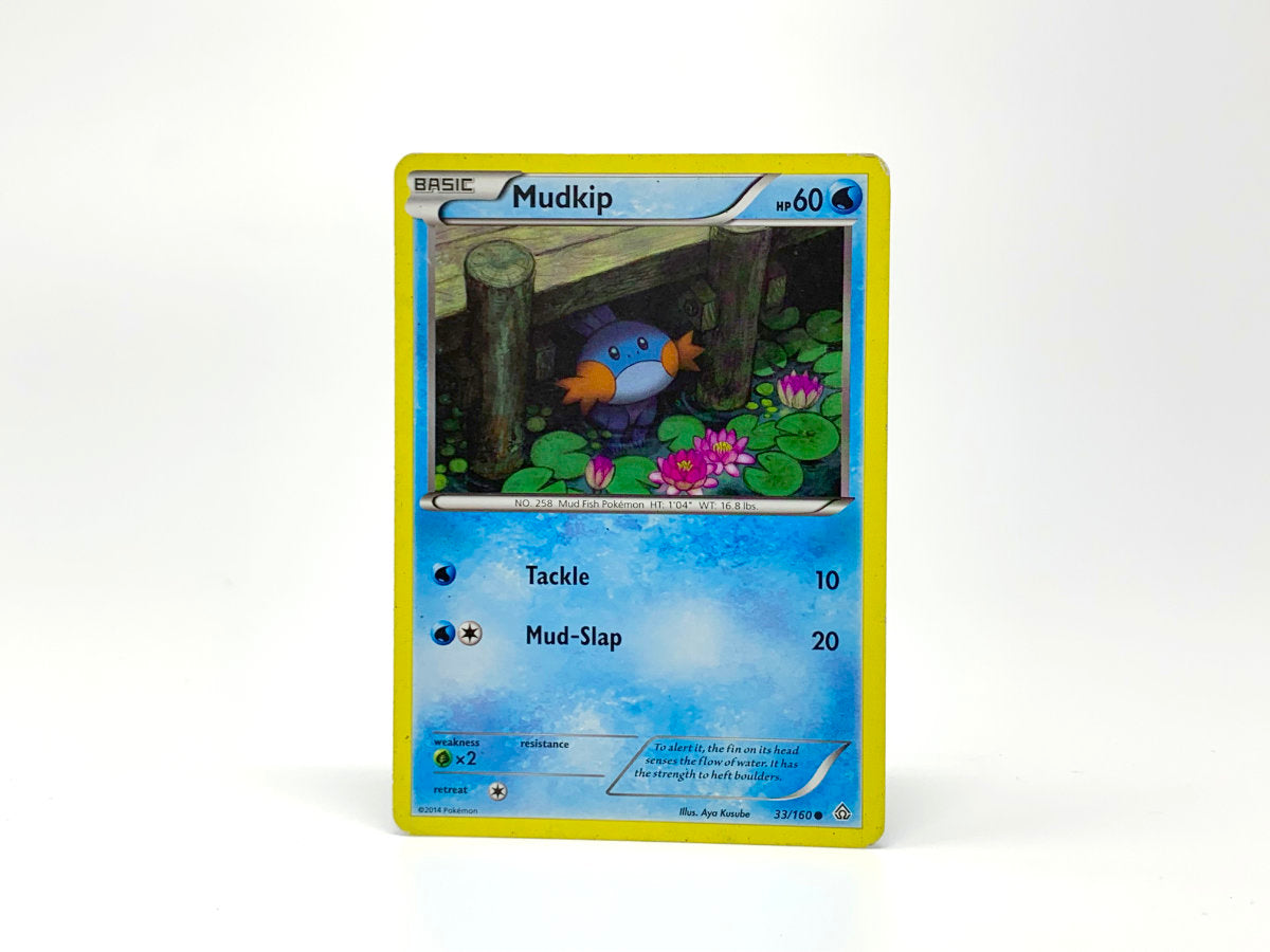 Mudkip [water] • Pokemon Card