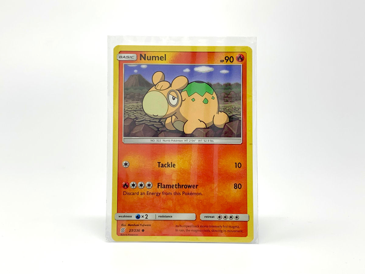Numel [Fire] • Pokemon Card