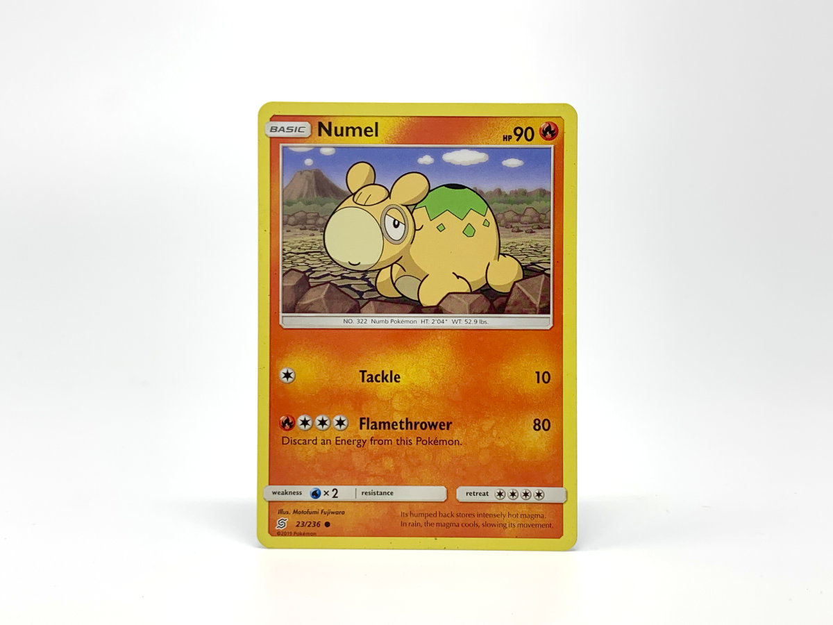 Numel [fire] • Pokemon Card