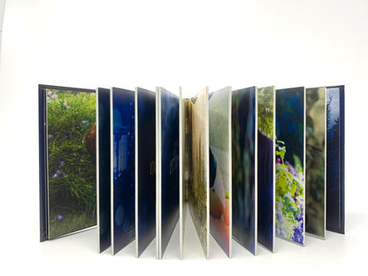 Twilight Forever: The Complete Saga *Box Set* • Blu-ray