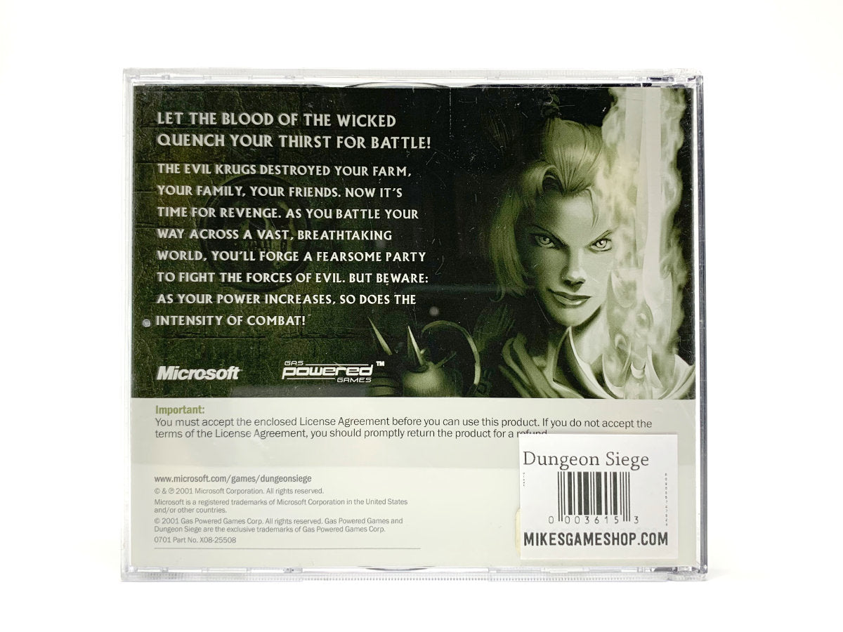 Dungeon Siege • PC (Windows)